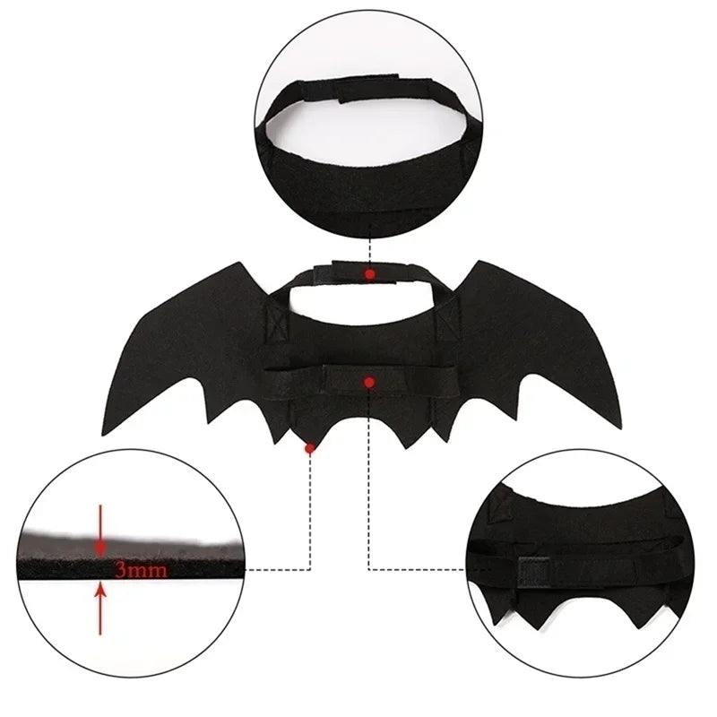Bat Wing Halloween Costume for Cats and Small Pets