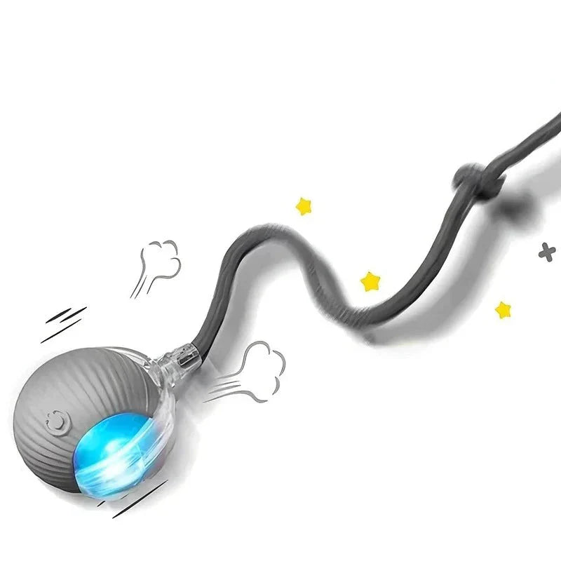 Interactive Rolling Ball Toy for Cats