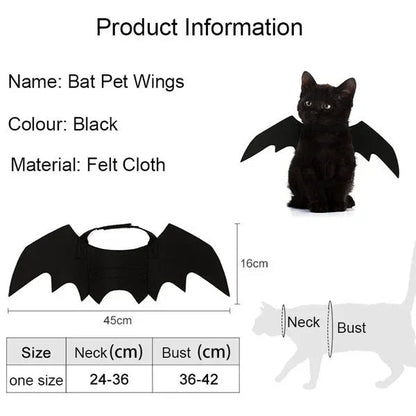 Bat Wing Halloween Costume for Cats and Small Pets