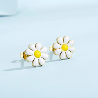 Earrings Only