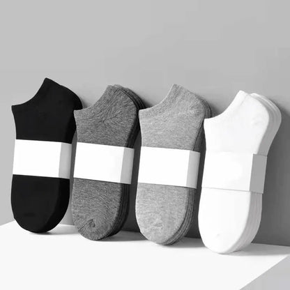 Everyday No Show Socks (5 Pairs)