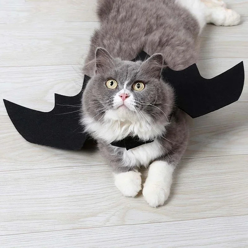 Bat Wing Halloween Costume for Cats and Small Pets