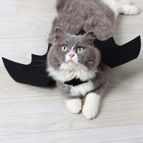 Bat Wing Halloween Costume for Cats and Small Pets
