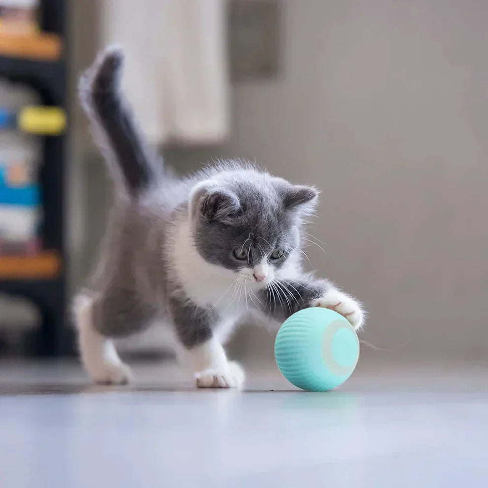 Interactive Cat Ball 2.0