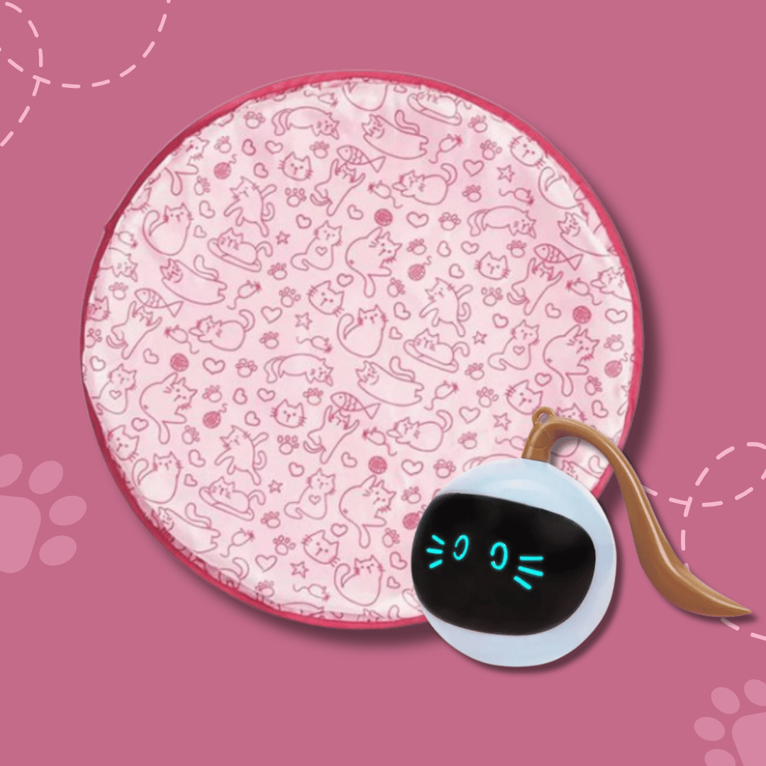 Whisker Motion Cat Toy