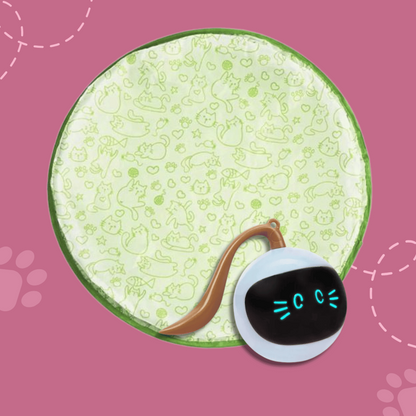 Whisker Motion Cat Toy