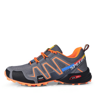 Gray-Orange