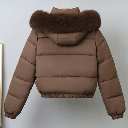 Livia Short Padded Fur Collar Jacket