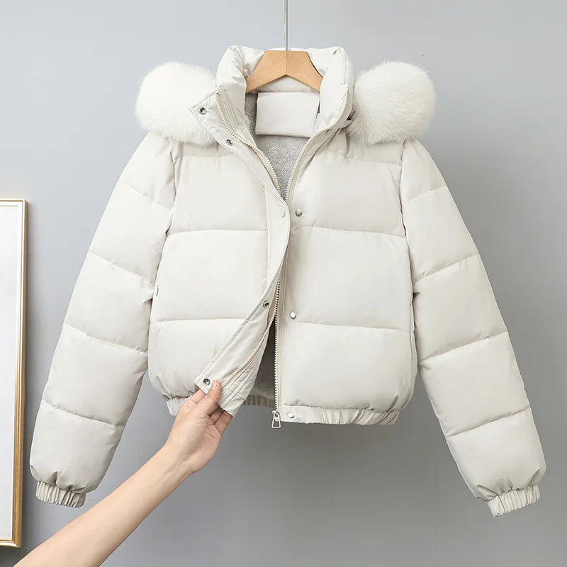 Livia Short Padded Fur Collar Jacket