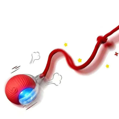 Interactive Rolling Ball Toy for Cats