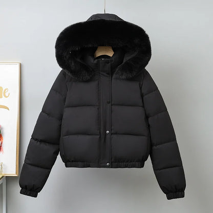 Livia Short Padded Fur Collar Jacket
