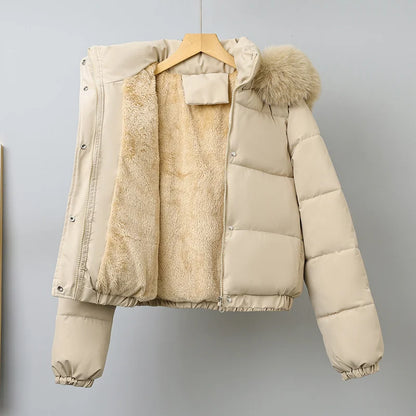 Livia Short Padded Fur Collar Jacket
