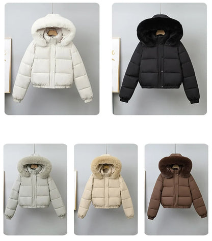 Livia Short Padded Fur Collar Jacket