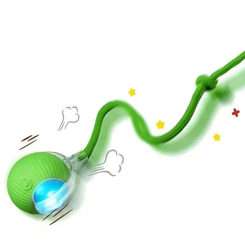 Interactive Rolling Ball Toy for Cats