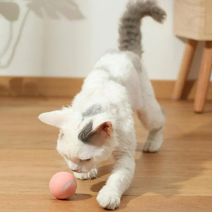 Interactive Cat Ball 2.0
