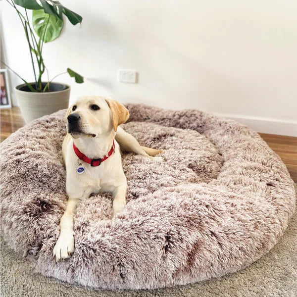 Bella&Toby - Dog Bed